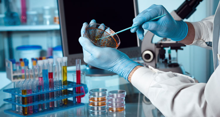 Mikrobiyolojik Analizler