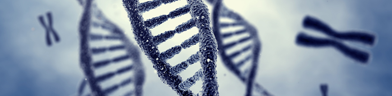 Moleküler Biyoloji Analizleri